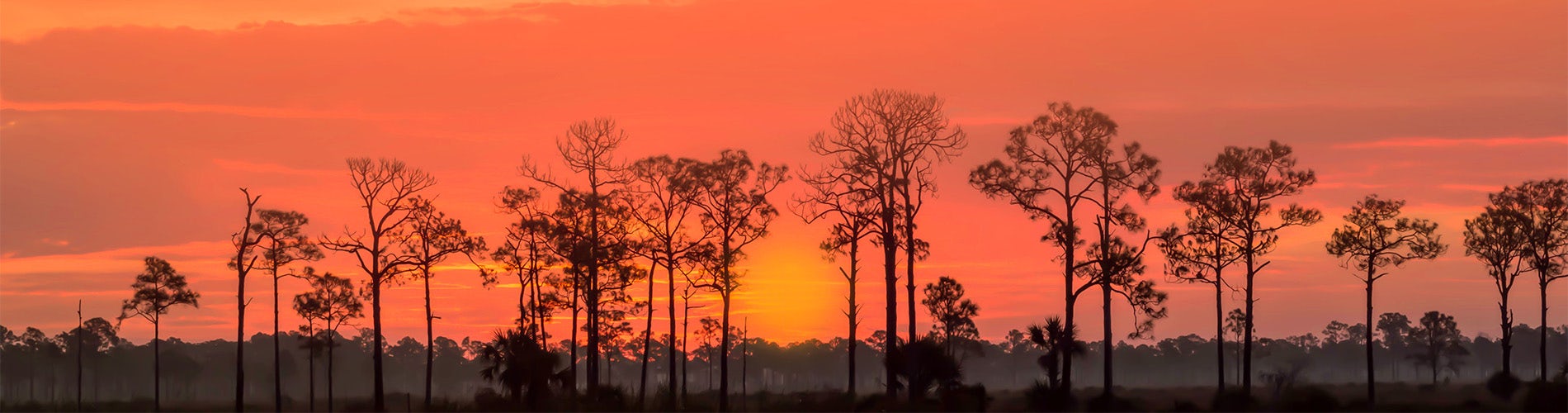 New Homes Punta Gorda FL Burnt Store Village Christopher Alan Homes